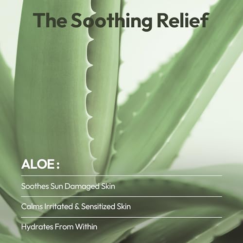 LAPCOS Aloe Sheet Mask, Daily Face Mask with Cucumber and Aloe Gel to Calm and Moisturize Skin, Korean Beauty Favorite, 5-Pack|B07JMTMHGS